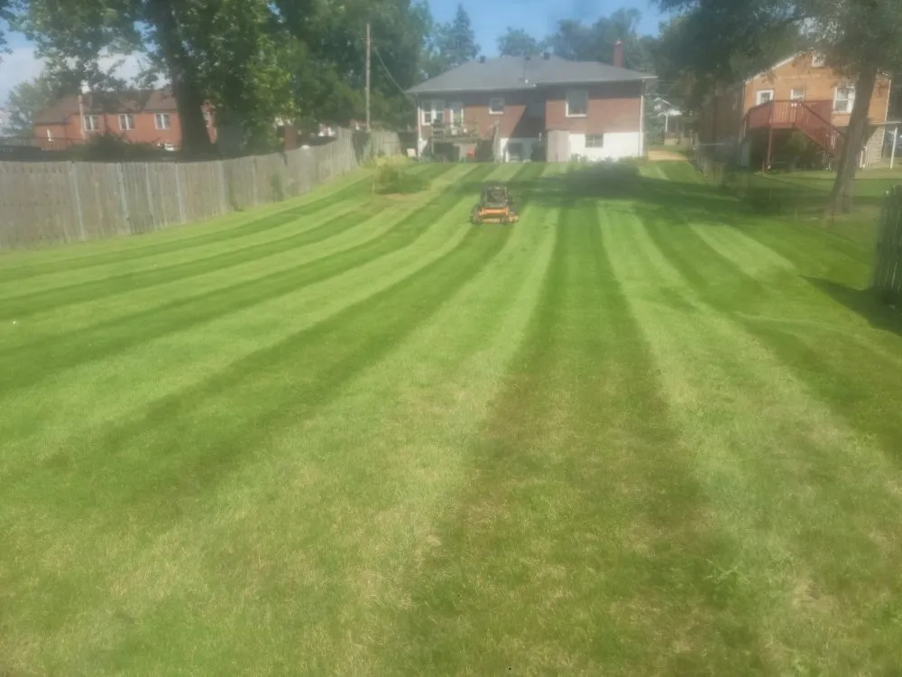 Top-rated lawn care service in Olivette, MO by Cabanas Lawn Care