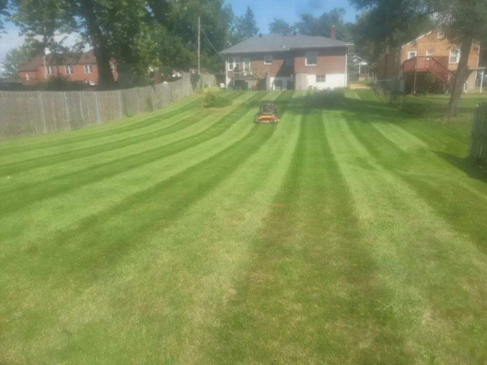 Reliable landscape installation experts serving Olivette, MO - Cabanas Lawn Care