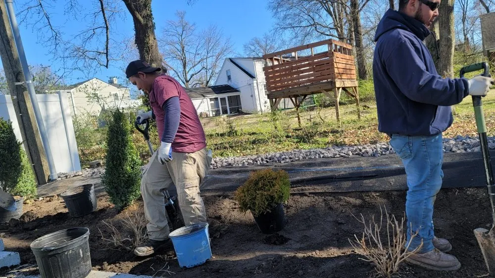 Expert yard cleanup service experts serving Olivette, MO - Cabanas Lawn Care