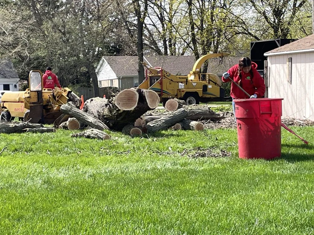 Professional landscape design for year-round maintenance in Palatine, IL by Cabanas Tree Service