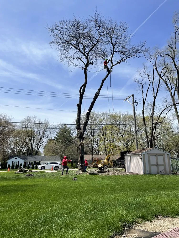 Custom garden landscaping in Palatine, IL by Cabanas Tree Service