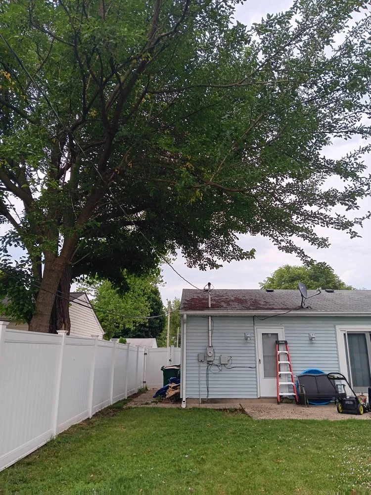 Custom outdoor landscaping experts serving Palatine, IL - Cabanas Tree Service