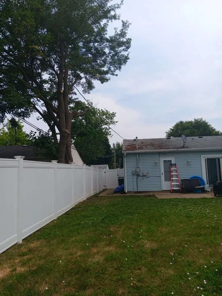 Top-rated yard cleanup service experts serving Palatine, IL - Cabanas Tree Service