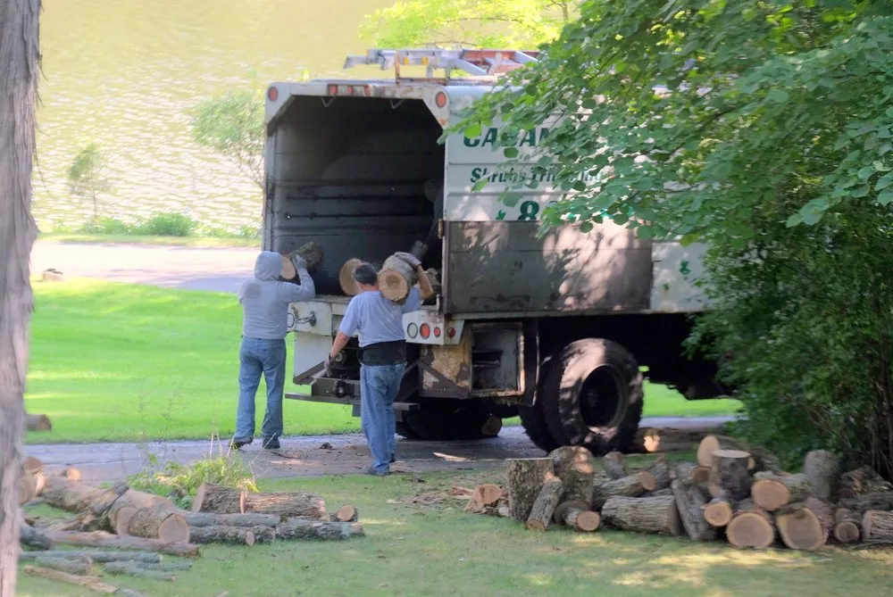 Affordable landscaping services in Palatine, IL by Cabanas Tree Service