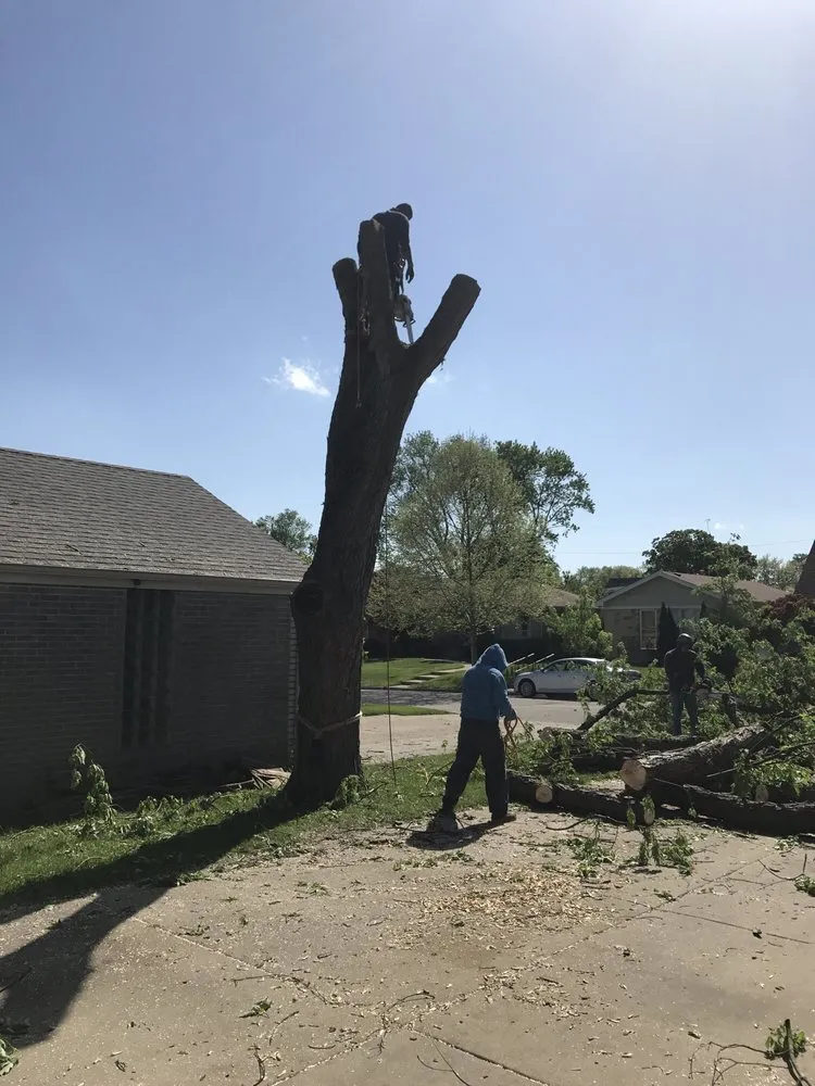 Local landscape installation in Palatine, IL by Cabanas Tree Service