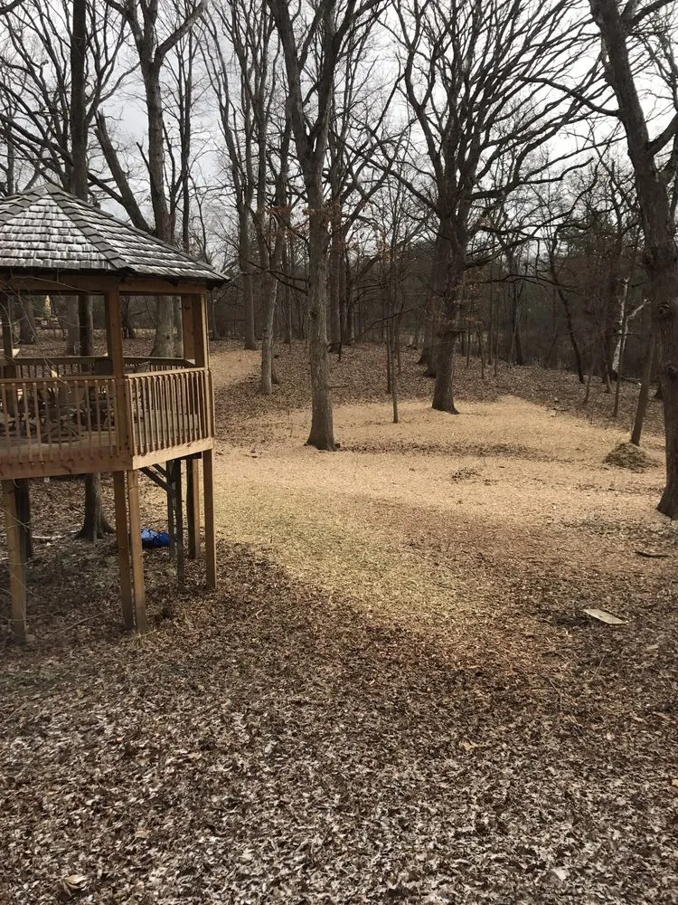 Professional lawn mowing service for beautiful yards across Palatine, IL - Cabanas Tree Service