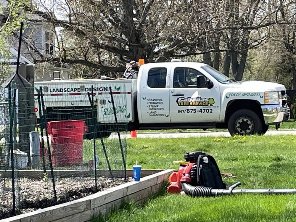 Trusted yard maintenance experts serving Palatine, IL - Cabanas Tree Service