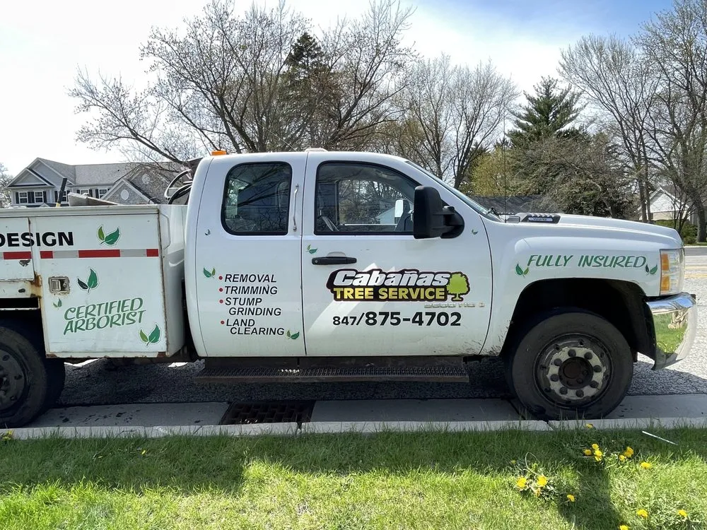 Reliable lawn care service experts serving Palatine, IL - Cabanas Tree Service