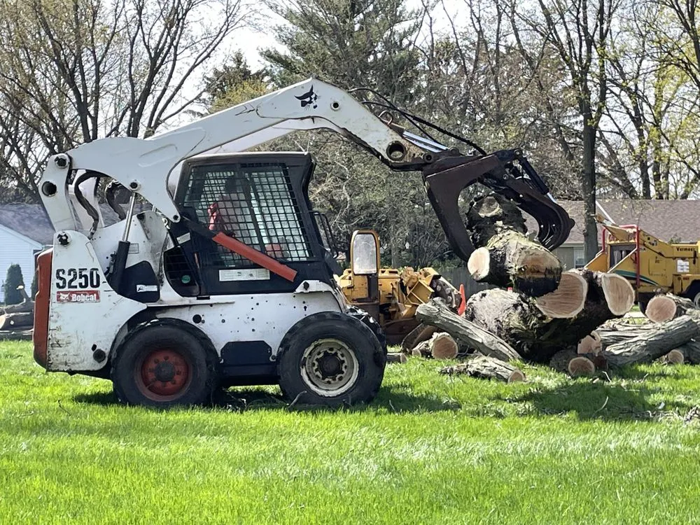 Custom lawn care service experts serving Palatine, IL - Cabanas Tree Service