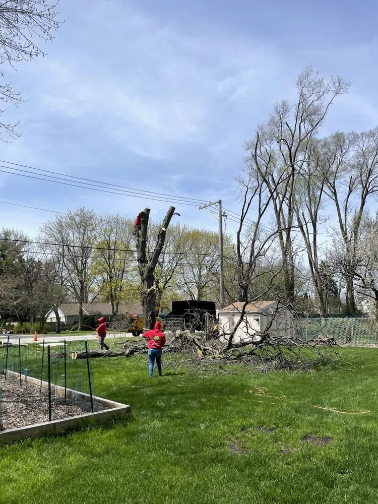 Reliable outdoor landscaping in Palatine, IL - Cabanas Tree Service
