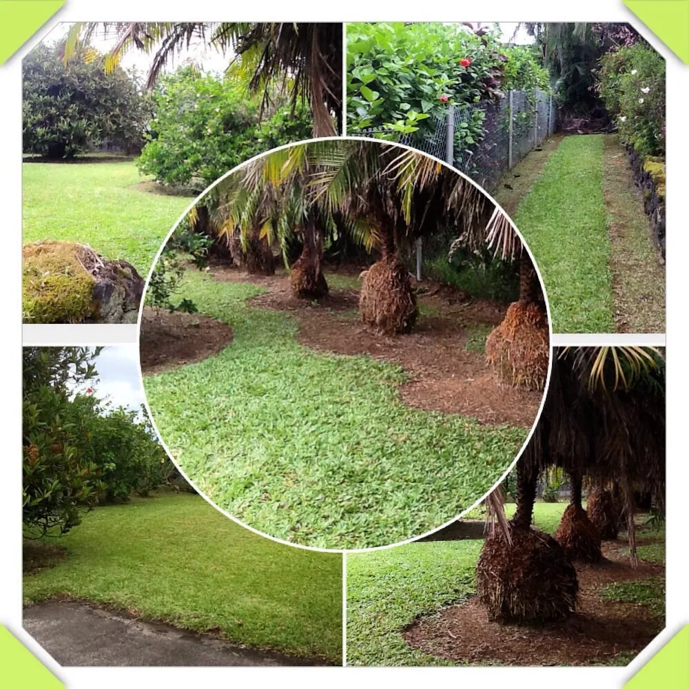 Top-rated yard cleanup service in Mountain View, HI by Caban's Landscapes