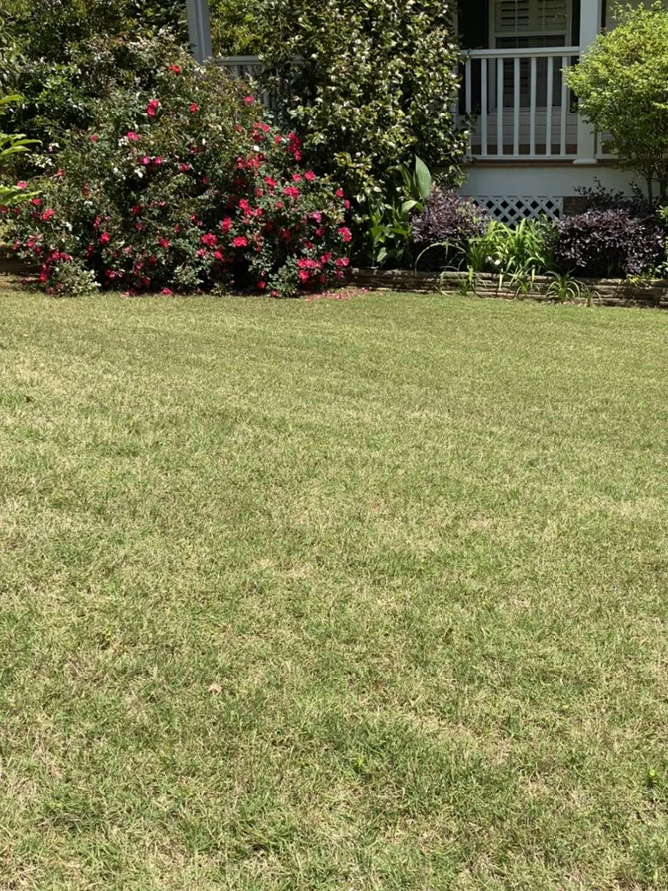 Local landscaping services in Cottondale, AL by Cabbil