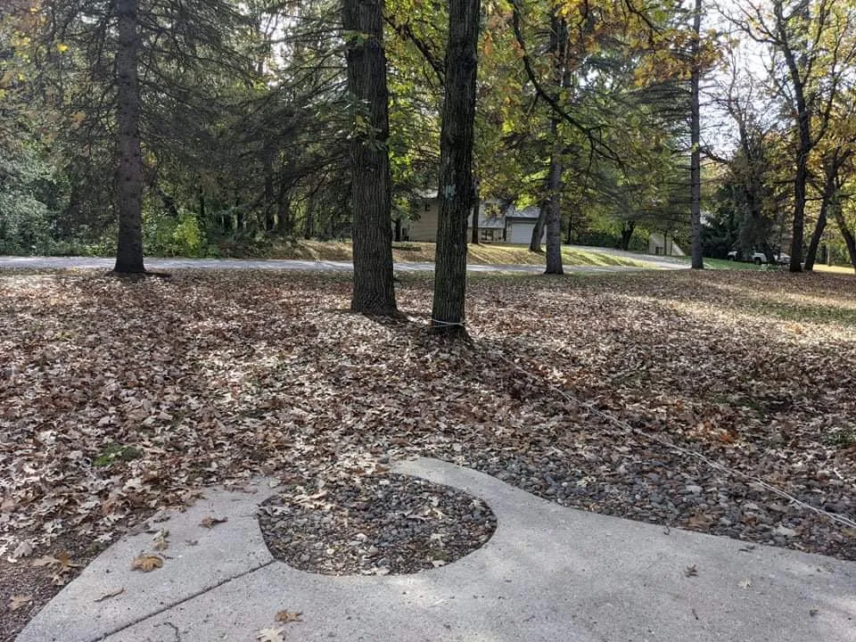 Local outdoor landscaping in Blaine, MN - Cabdor