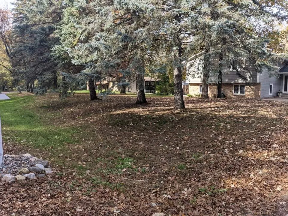 Professional residential landscaping experts serving Blaine, MN - Cabdor