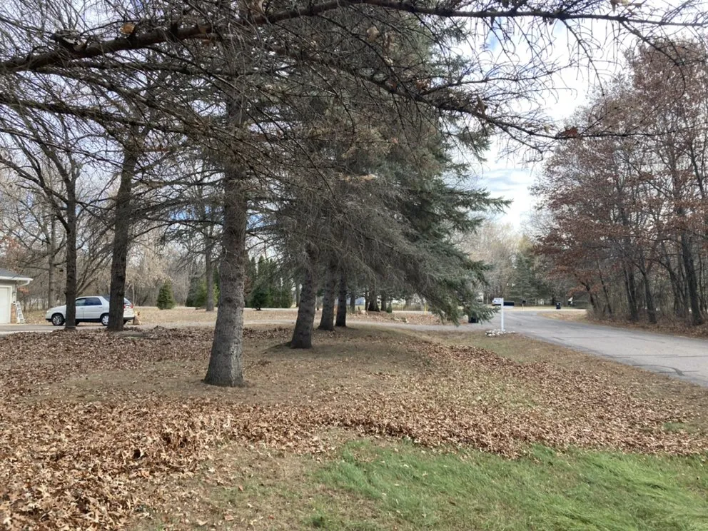 Reliable yard cleanup service in Blaine, MN - Cabdor