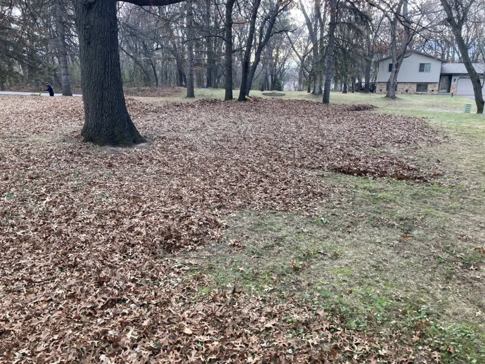 Professional yard maintenance for beautiful yards in Blaine, MN by Cabdor