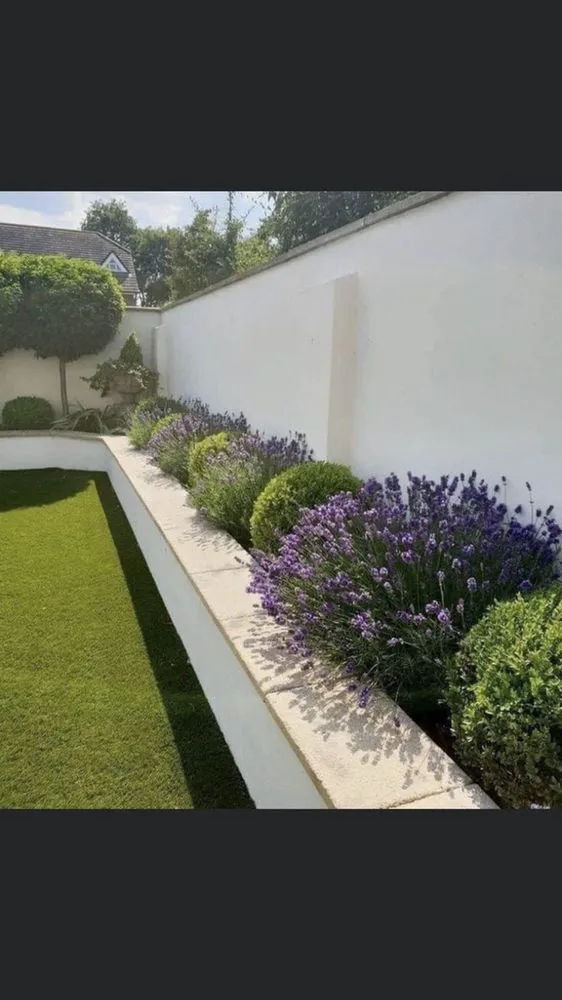 Expert yard cleanup service with custom design across Blaine, MN - Cabdor