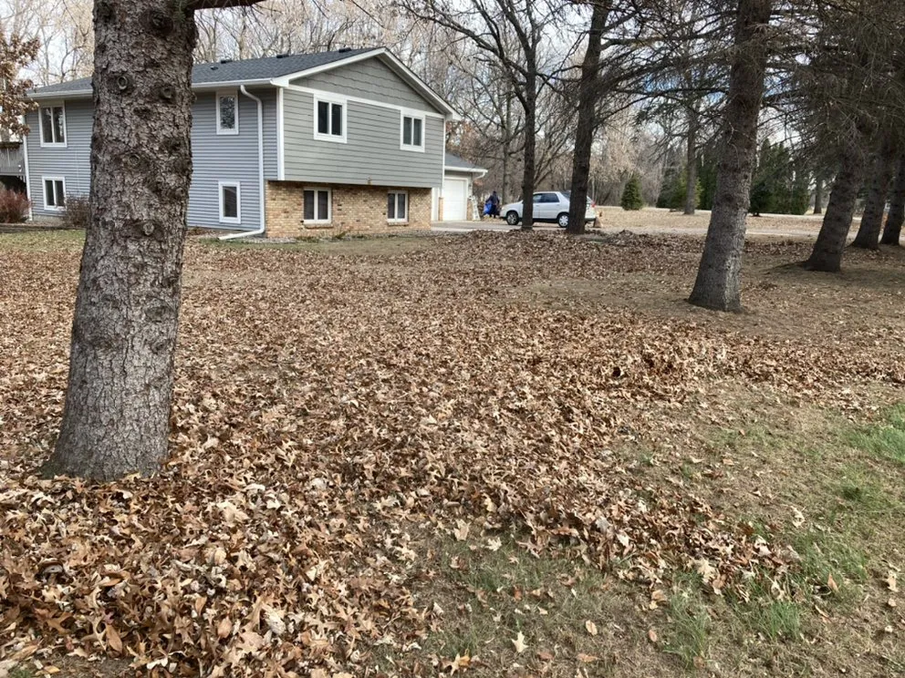 Custom garden landscaping in Blaine, MN - Cabdor