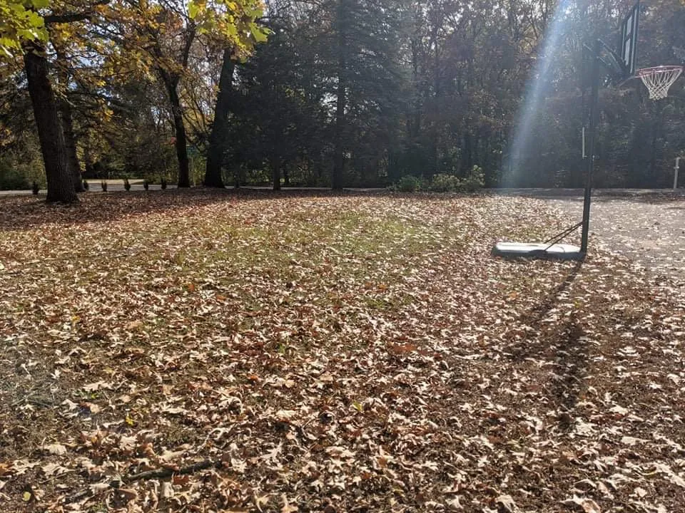 Local lawn mowing service experts serving Blaine, MN - Cabdor