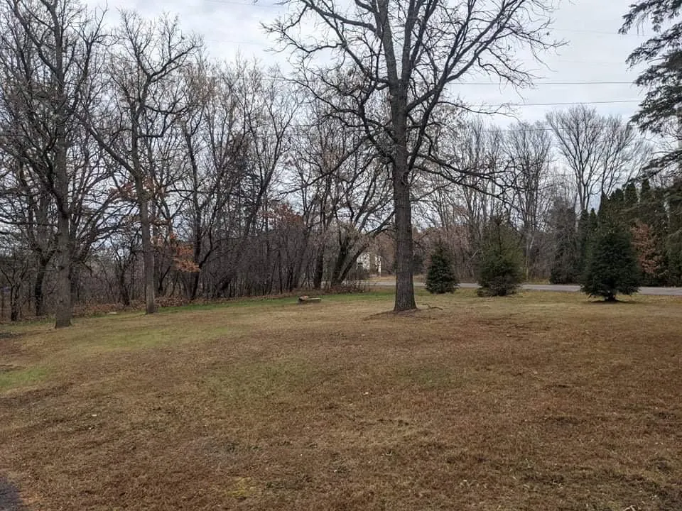 Top-rated landscape design in Blaine, MN - Cabdor