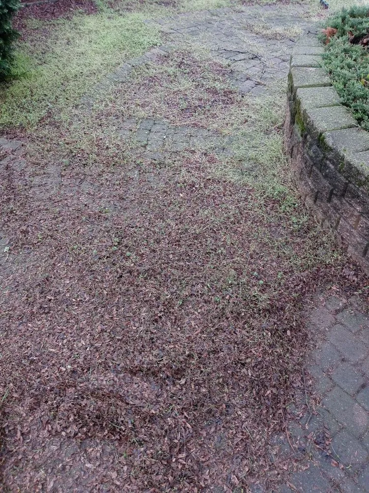 Local outdoor landscaping in Kankakee, IL - C.A.B.E Lawn Care