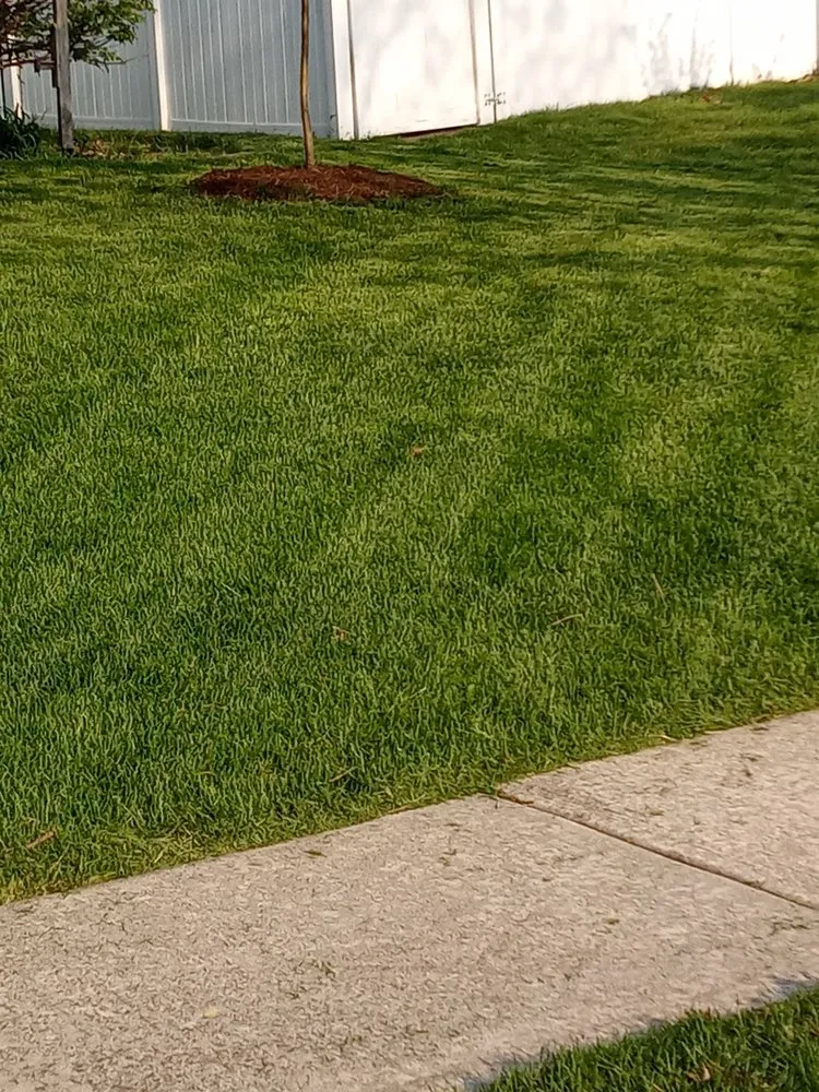 Local yard cleanup service in Kankakee, IL - C.A.B.E Lawn Care