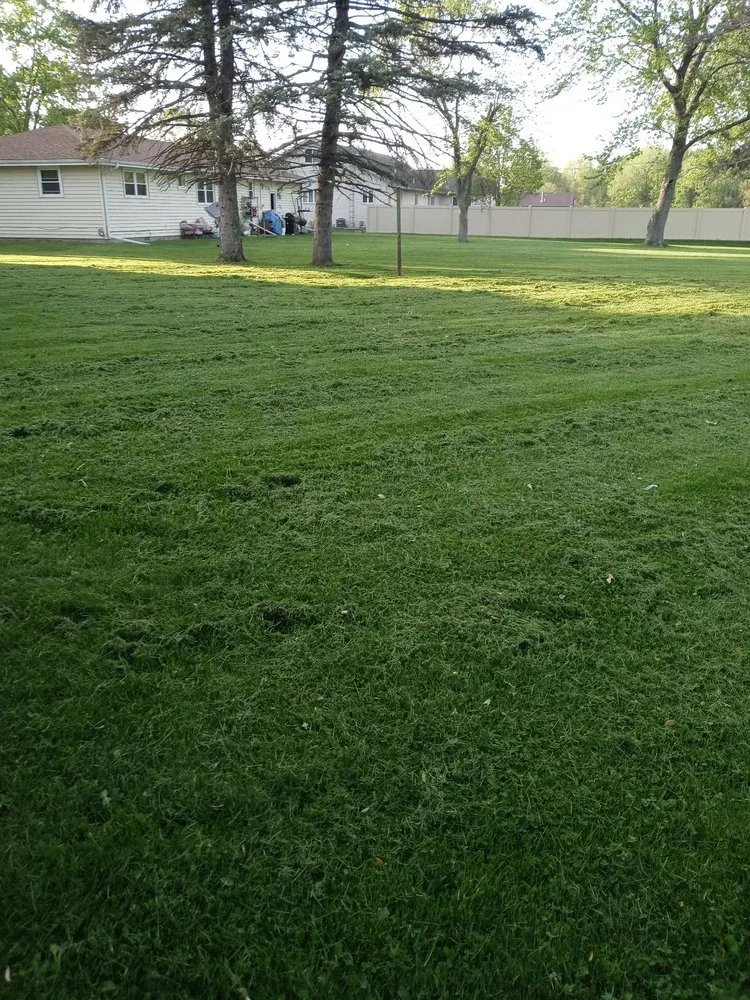 Reliable landscaping services in Kankakee, IL - C.A.B.E Lawn Care