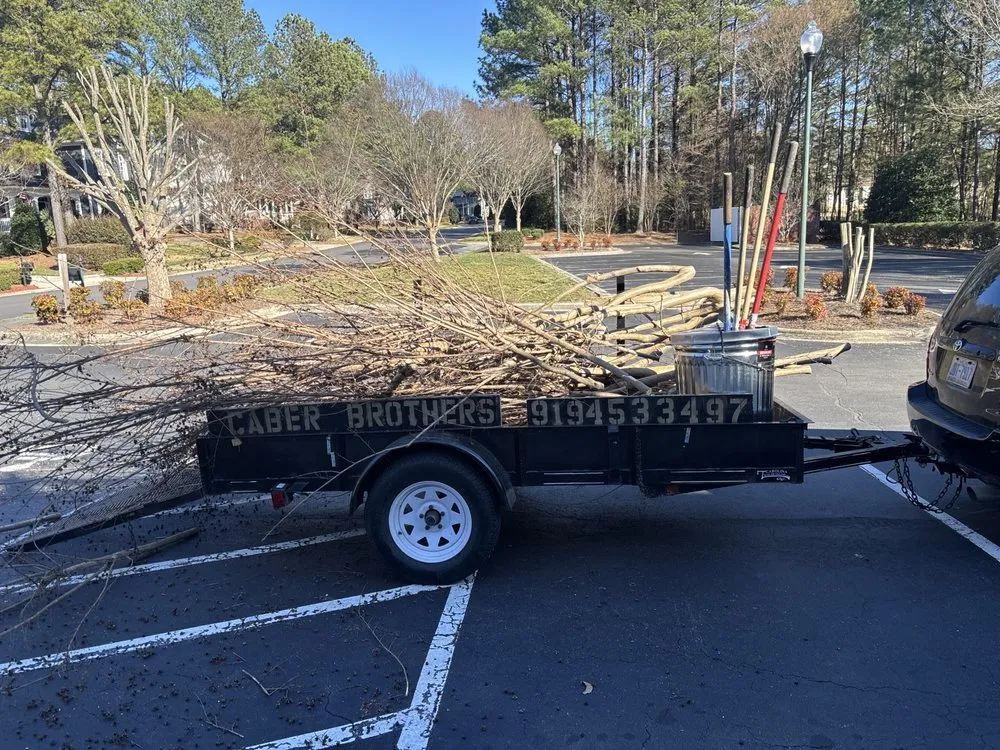 Expert lawn care service for year-round maintenance in Wake Forest, NC by Caber Brothers Landscaping