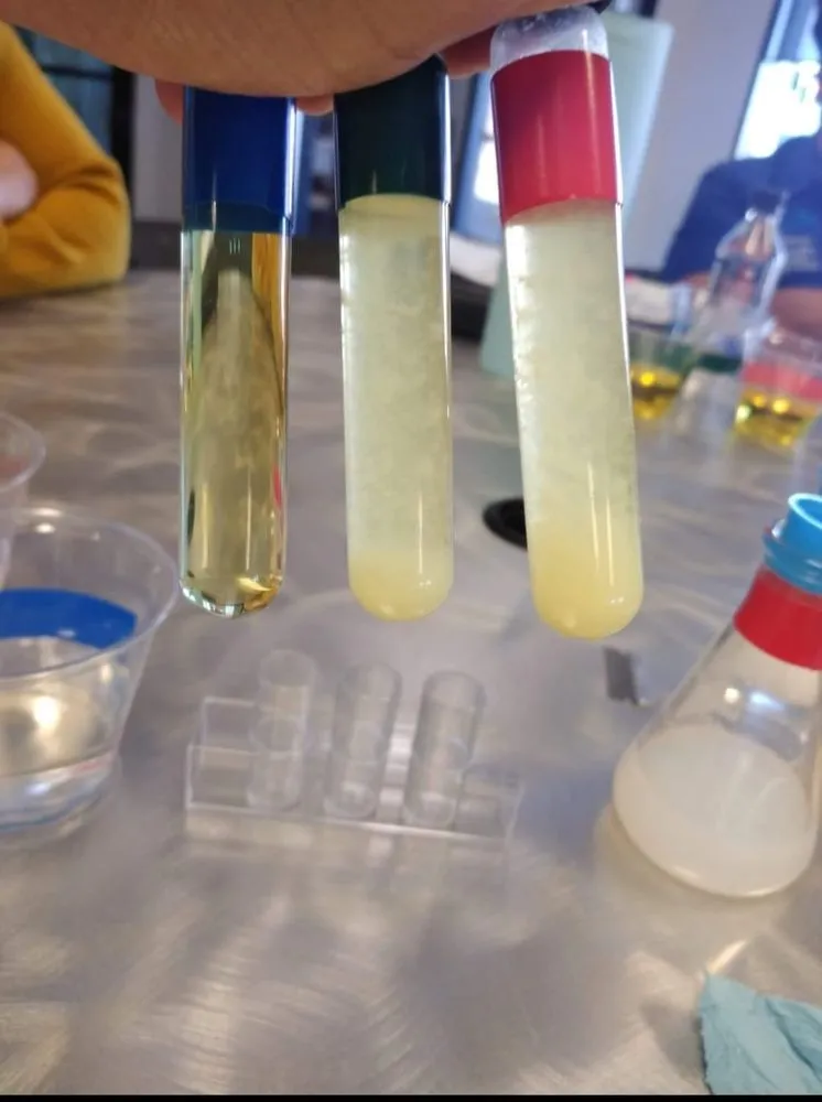 Expert yard maintenance in Davenport, FL by CabezasGroup Multiservices