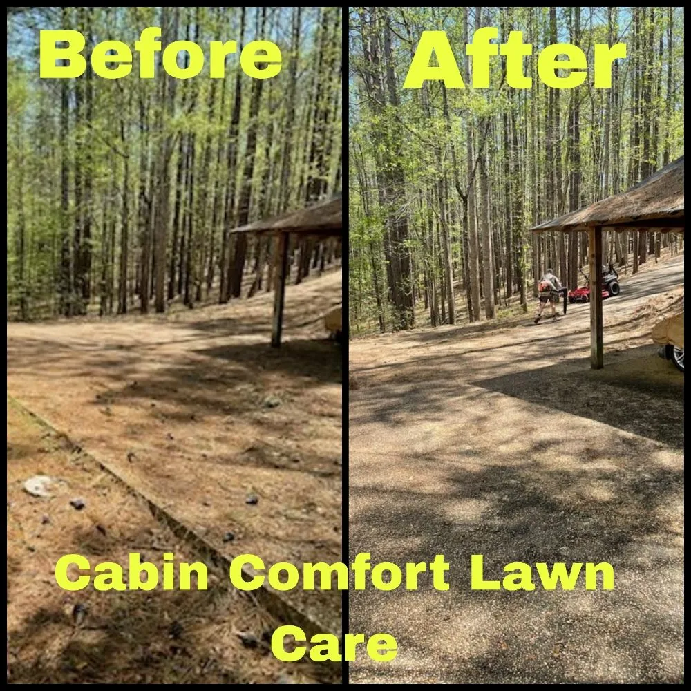 Reliable lawn mowing service for beautiful yards across Eclectic, AL - Cabin Comfort Lawn Care
