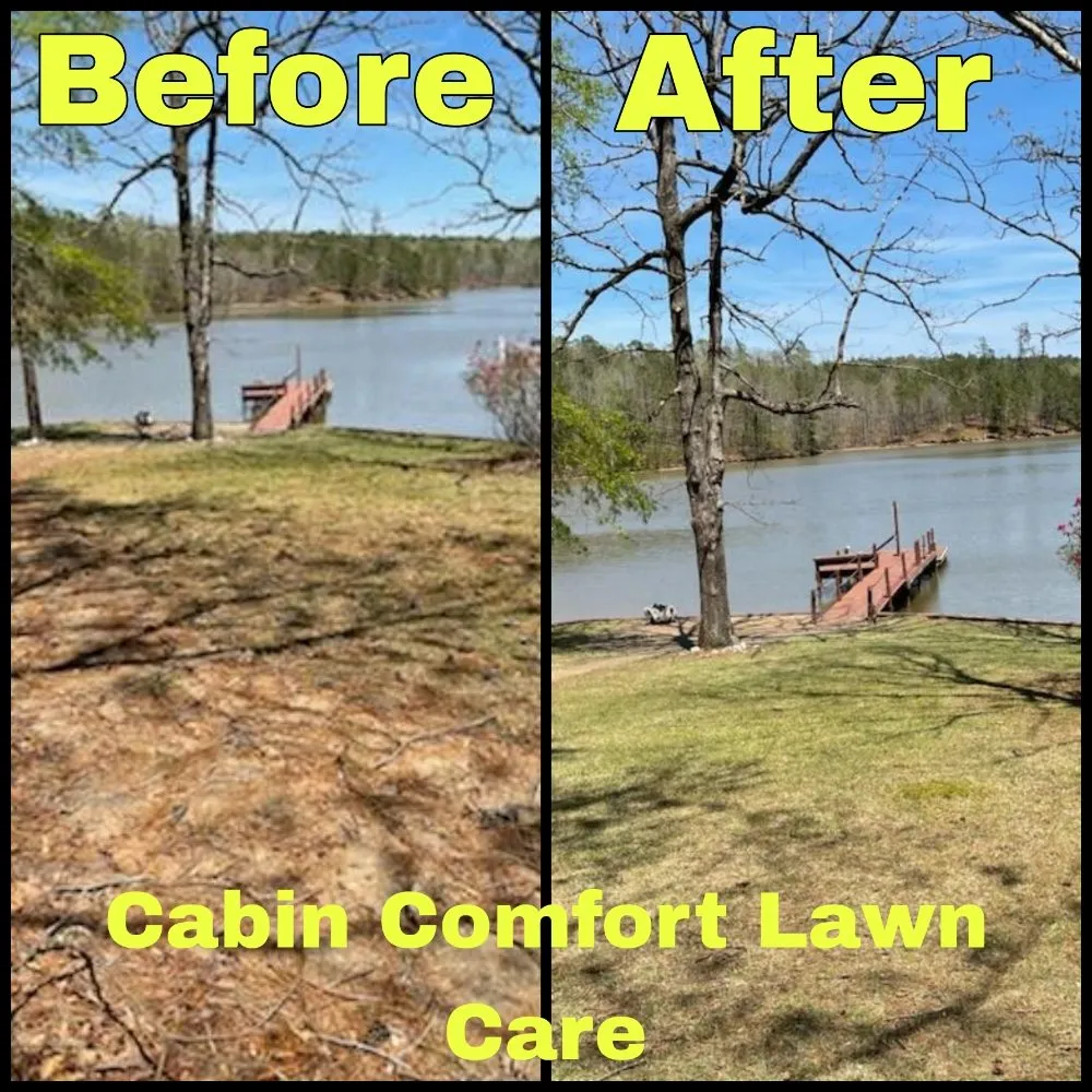 Affordable landscape design for beautiful yards in Eclectic, AL by Cabin Comfort Lawn Care