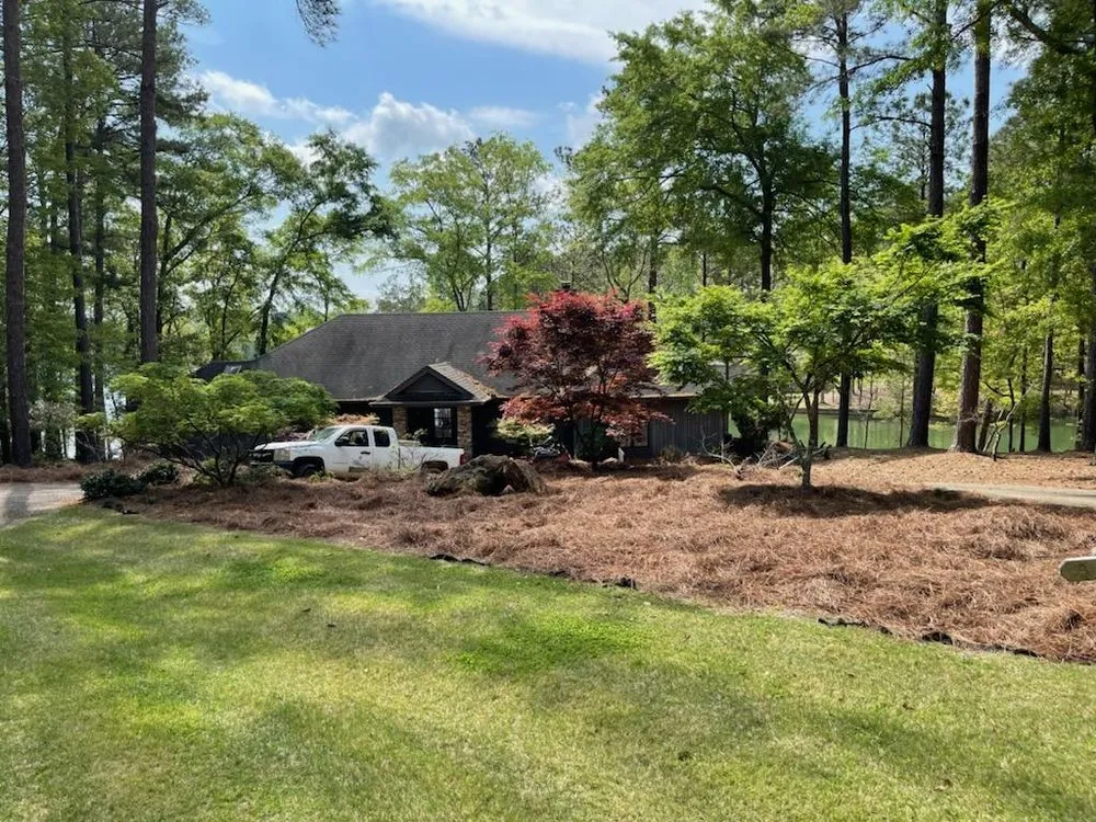 Top-rated landscape design for homes in Eclectic, AL by Cabin Comfort Lawn Care