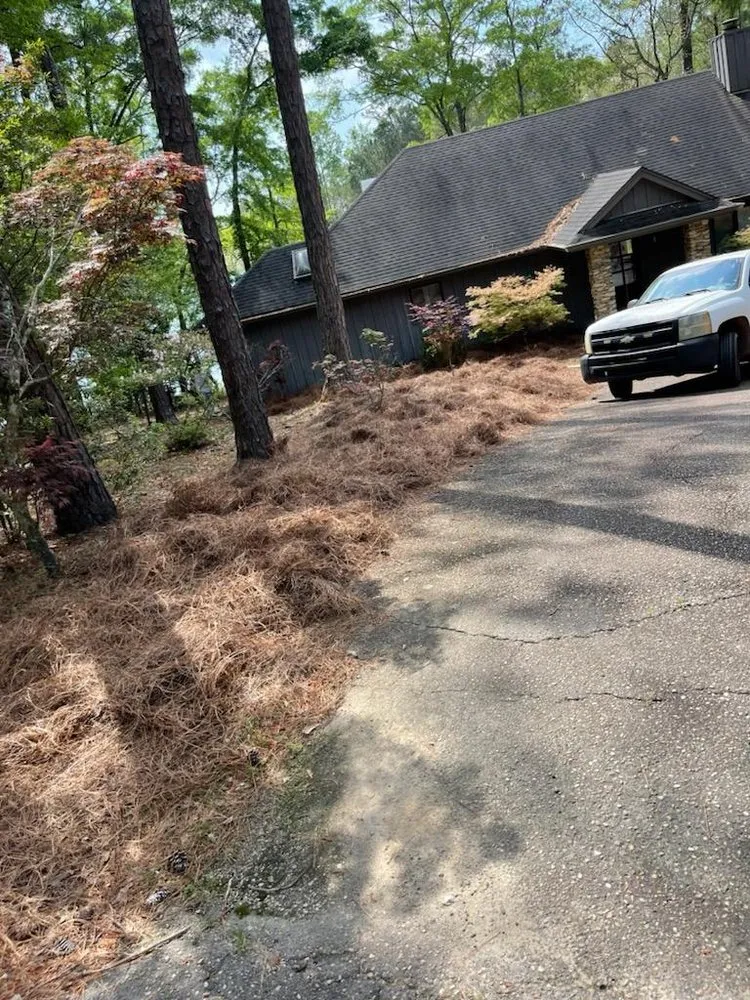 Trusted garden landscaping experts serving Eclectic, AL - Cabin Comfort Lawn Care