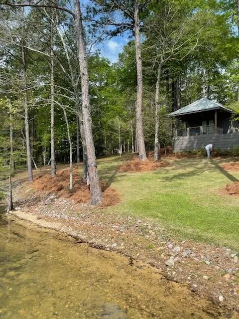 Local outdoor landscaping experts serving Eclectic, AL - Cabin Comfort Lawn Care