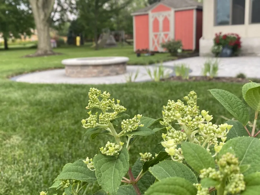 Local yard cleanup service near you across Dayton, OH - Cable Bros Outdoor Living & Landscaping