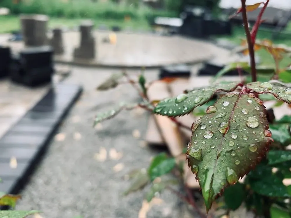 Professional yard maintenance for homes in Dayton, OH by Cable Bros Outdoor Living & Landscaping