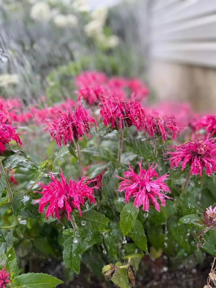 Reliable lawn mowing service in Dayton, OH by Cable Bros Outdoor Living & Landscaping