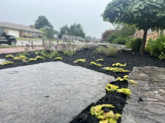 Cable Bros Outdoor Living & Landscaping Logo