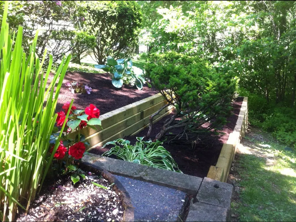 Top-rated lawn care service for residential properties across Moline, IL - Cable Lawnscape