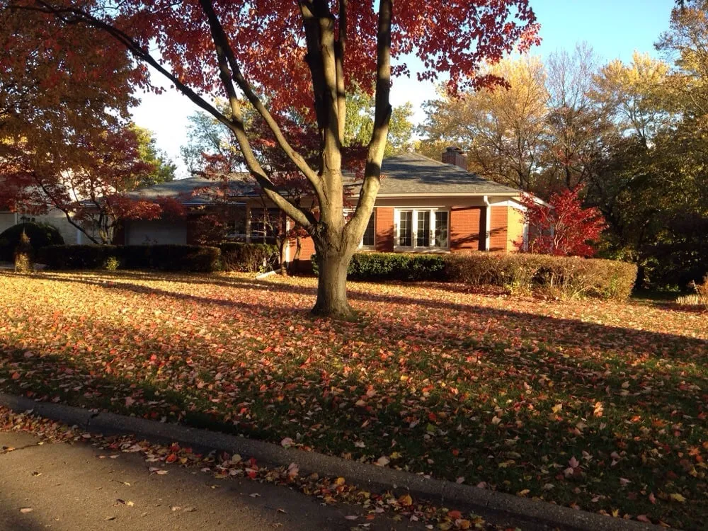 Affordable garden landscaping in Moline, IL by Cable Lawnscape