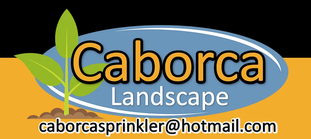 Custom lawn mowing service with custom design in Eagle Mountain, UT by Caborca Landscape