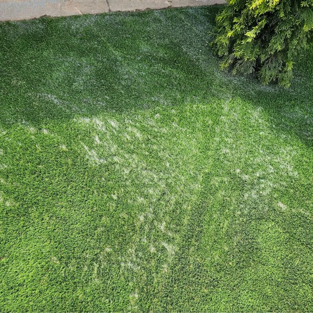 Expert lawn mowing service for homes across Citrus Heights, CA - Cabos Landscaping