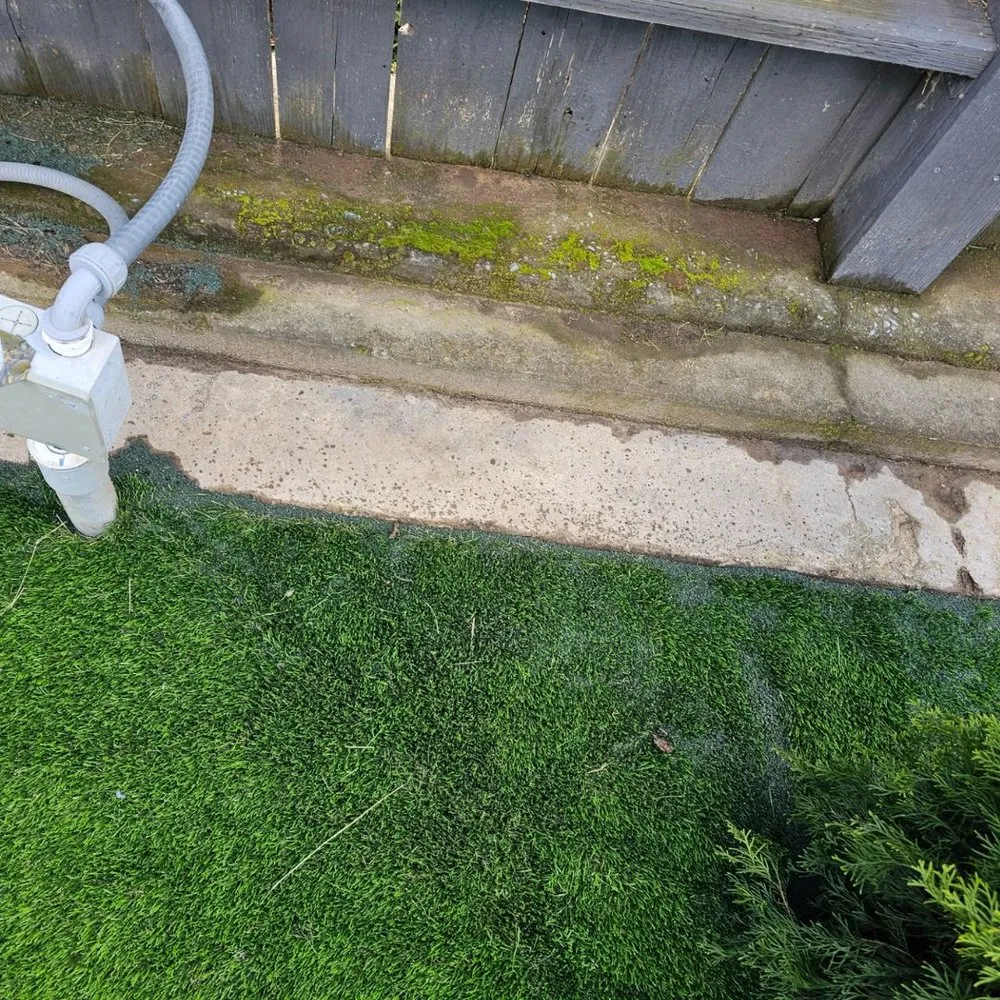 Top-rated yard cleanup service in Citrus Heights, CA - Cabos Landscaping