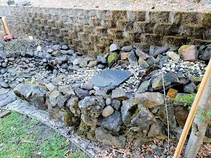 Affordable yard cleanup service for beautiful yards across Sacramento, CA - Cabrales Lawn Services