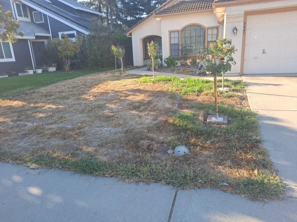 Top-rated residential landscaping experts serving Sacramento, CA - Cabrales Lawn Services