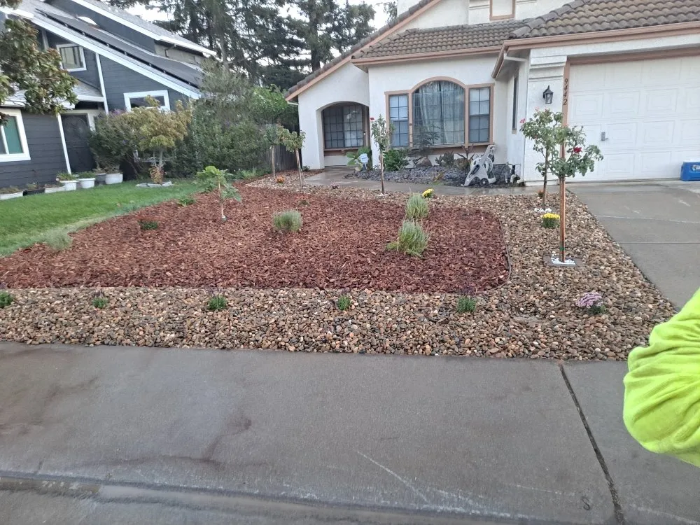 Top-rated yard cleanup service in Sacramento, CA - Cabrales Lawn Services