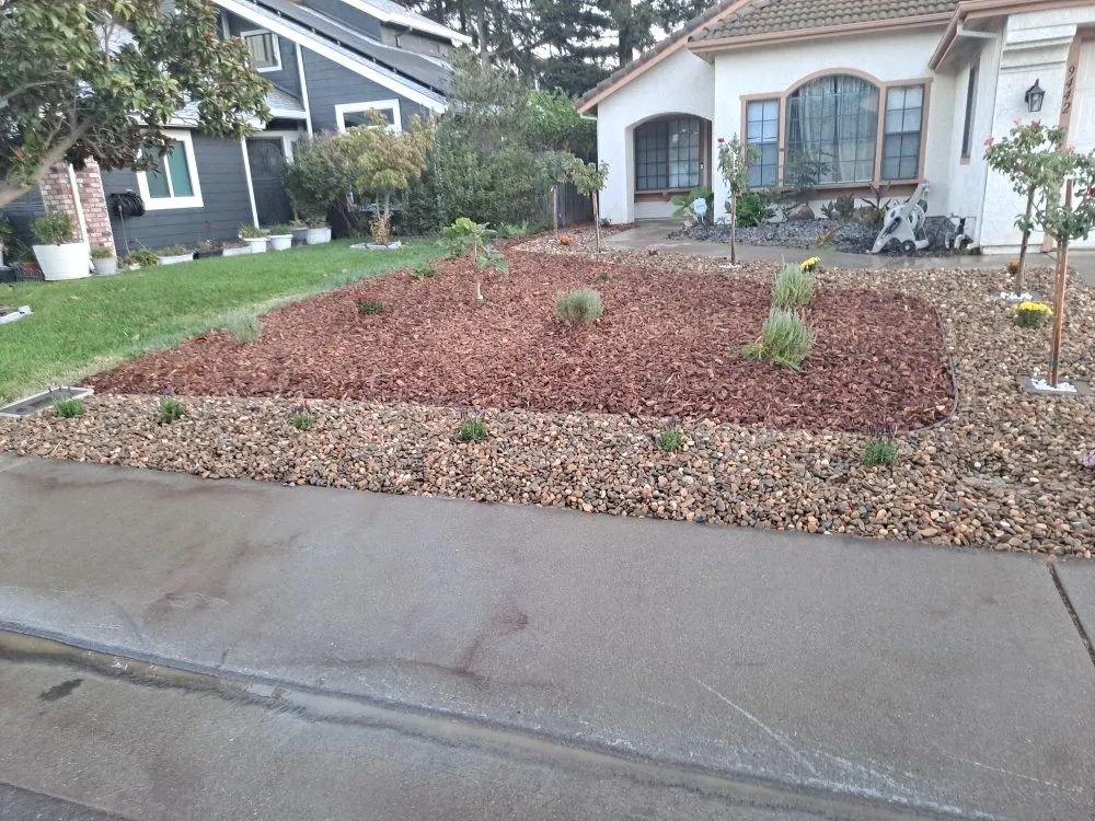 Professional yard maintenance in Sacramento, CA by Cabrales Lawn Services