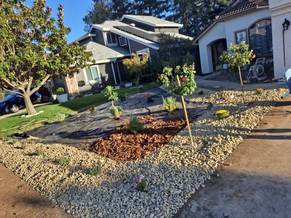 Reliable landscaping services for beautiful yards across Sacramento, CA - Cabrales Lawn Services