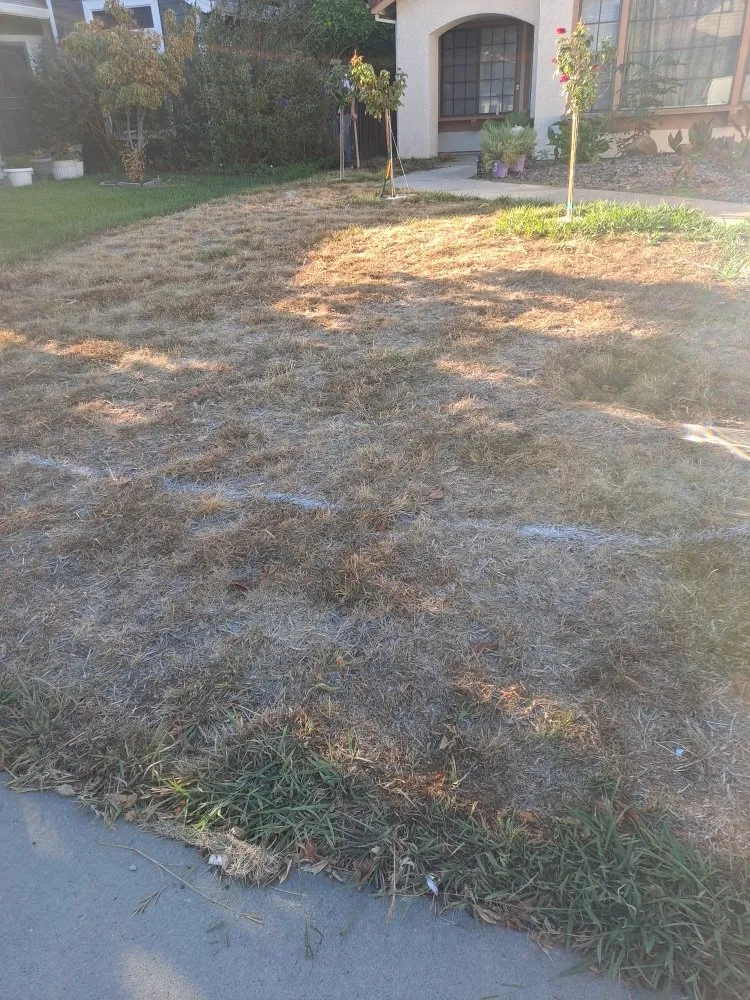 Affordable residential landscaping for homes across Sacramento, CA - Cabrales Lawn Services