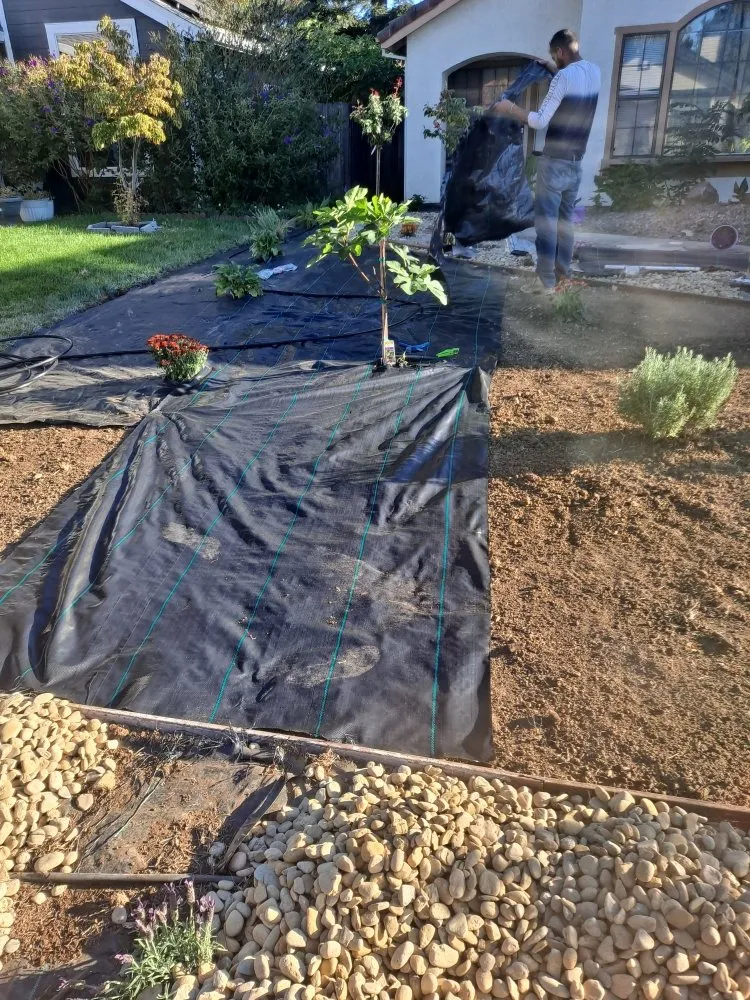 Affordable landscaping services for homes in Sacramento, CA by Cabrales Lawn Services